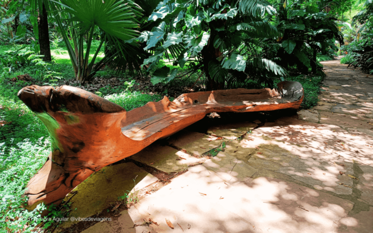 Inhotim: O Encantador Encontro da Arte com a Natureza